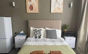 Modern Huge Double Room With Private Bathroom In Colindale